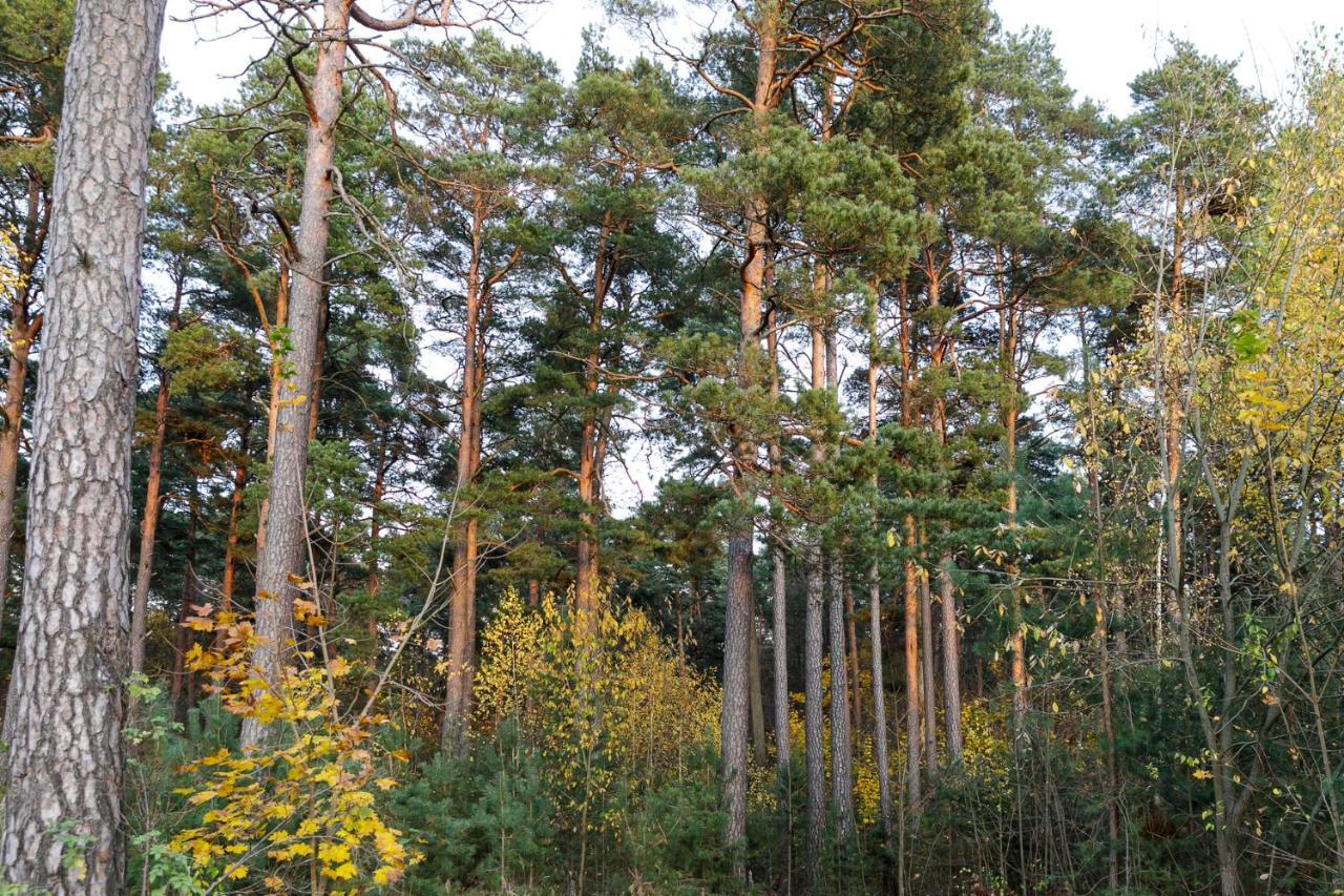 Ferienwohnung Lat4Rest Prienai Exterior foto